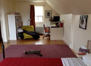 The view from the bed